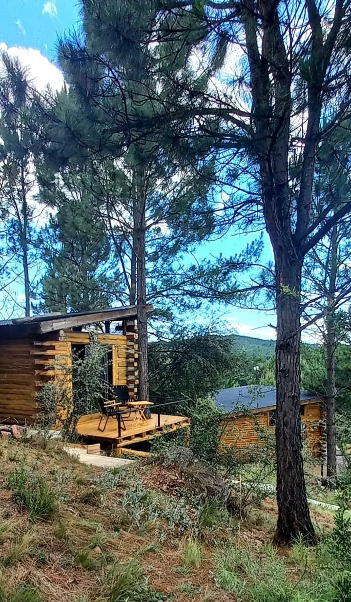 Cabañas entre pinos en las sierras de Intiyaco, Córdoba